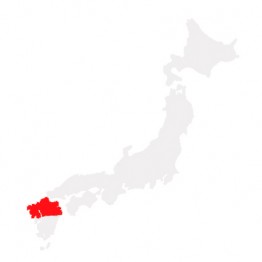 Northern Kyushu Rail Pass
